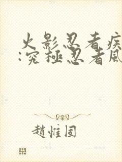 火影忍者疾风传:究极忍者风暴1