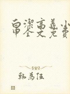 白洁高义小说王申全文免费笔趣阁阅读