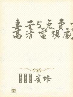 妻子5免费完整高清电视剧