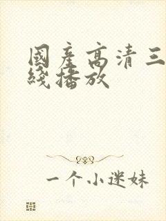 国产高清三级在线播放