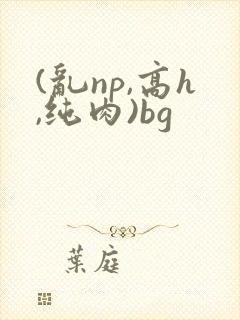 (乱np,高h,纯肉)bg