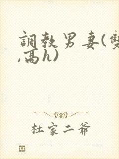 调教男妻(双性,高h)