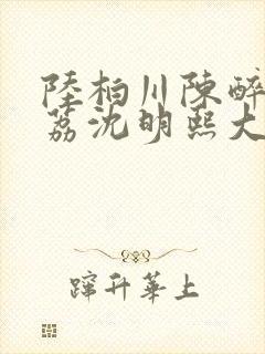 陆柏川陈醉许佳荔沈明熙大结局