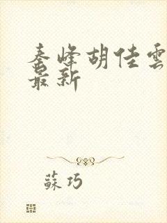 秦峰胡佳云免费最新封面