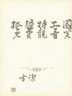 孤胆特工国语版免费观看完整高清