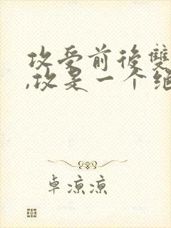 攻受前后双不洁,攻是一个绝世美人,在