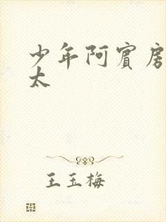 少年阿宾房东太太