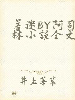 着迷BY阿司匹林小说全文免费阅读