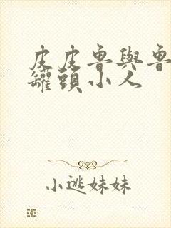 皮皮鲁与鲁西西罐头小人封面