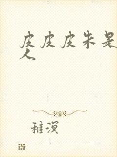 皮皮皮朱是哪里人封面