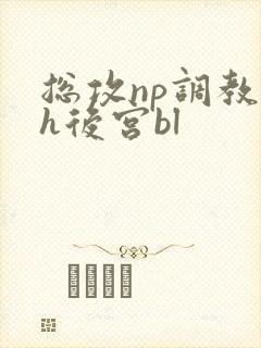 总攻np调教高h后宫bl