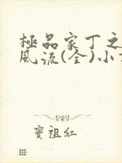 极品家丁之萧氏风流(全)小说