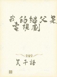我的继父是偶像 电视剧封面