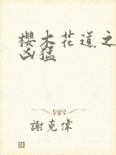 樱木花道之重生凶猛封面