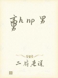 高h np 男男