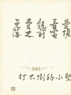 免费观看爱在日落之前电视剧