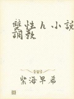 双性 h 小说调教