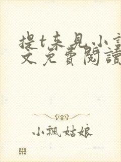 提t来见小说全文免费阅读笔趣阁封面