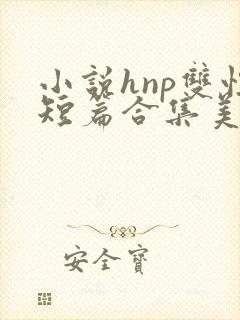 小说hnp双性短篇合集美人