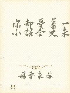 你却爱着一个他小说全文未删减免费