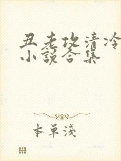 丑老攻清冷美人小说合集