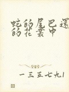 蛇的尾巴还在我的花丛中