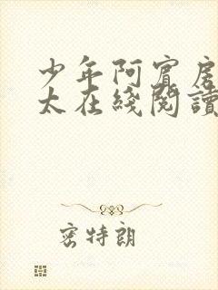 少年阿宾房东太太在线阅读封面