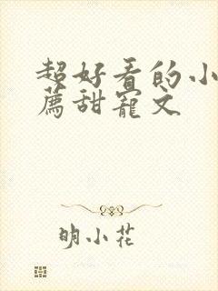 超好看的小说推荐甜宠文