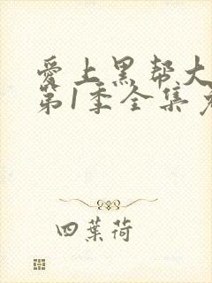 爱上黑帮大佬的第1季全集免费观看