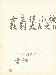 女主从小被肉调教到大h文np