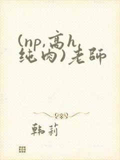 (np,高h,纯肉)老师