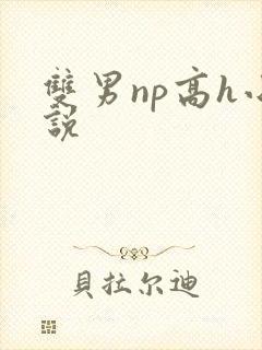 双男np高h小说