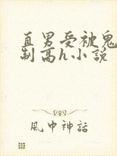 直男受被鬼攻强制高h小说封面
