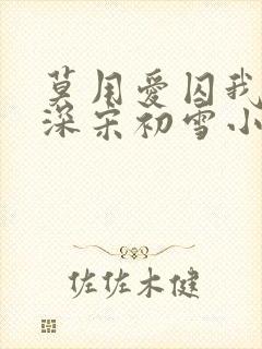 莫用爱囚我傅寒深宋初雪小说