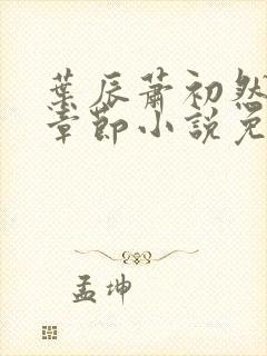 叶辰萧初然最新章节小说免费阅读