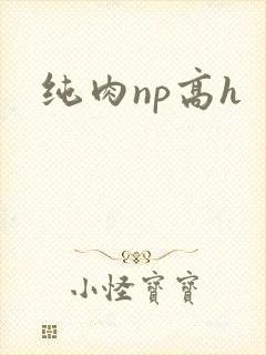 纯肉np高h