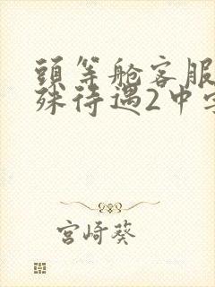 头等舱客服的特殊待遇2中字