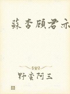 苏杳顾君亦小说