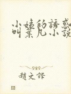 小姨的诱惑主角叫叶凡小说