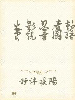 火影忍者动漫免费观看国语版封面