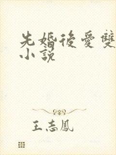 先婚后爱双男主小说