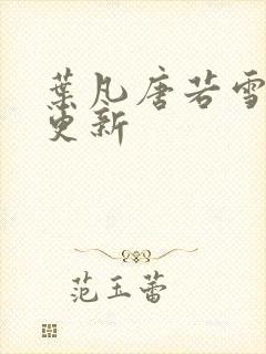 叶凡唐若雪最近更新封面