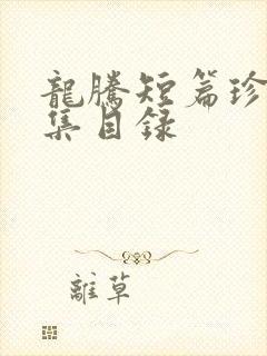 龙腾短篇珍藏合集目录封面