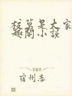 校草是大家的笔趣阁小说封面