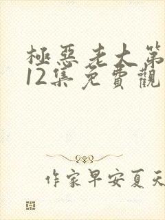 极恶老大第二季12集免费观看