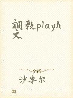 调教playh文封面