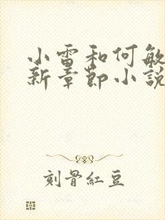 小雷和何敏秋最新章节小说