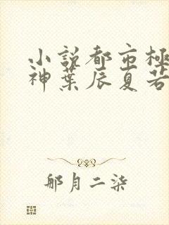 小说都市极品医神叶辰夏若雪无弹窗