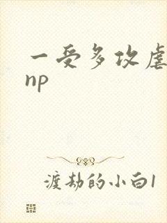 一受多攻虐受文np