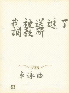 我被送进了私奴调教所